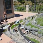 Tortoise_027 (June 17, 2017)